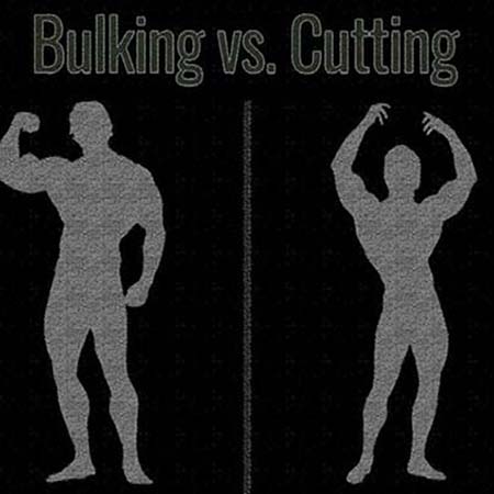 Cutting Steroids Vs Bulking Steroids